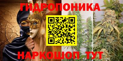экстази Сланцы