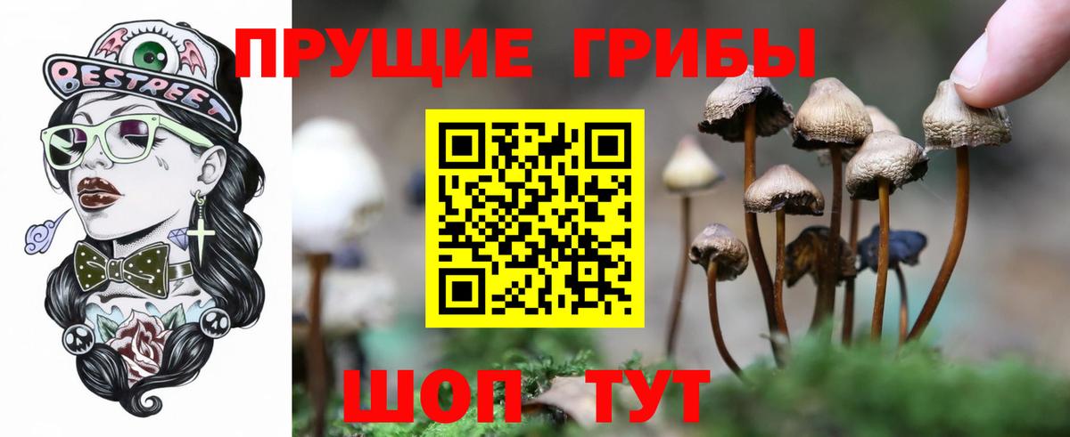 Галлюциногенные грибы прущие грибы  Вход с VPN  Нижнекамск 